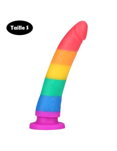 Multicolor suction cup dildo size S - DO-045-RAI-S