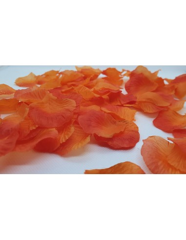 Pack of 100 Rose Petals - 100610RED