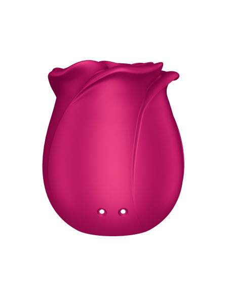 Pro 2 Classic Blossom Satisfyer estimulador de clítoris rosa con ondas de presión - CC597840