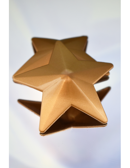 Nipple Gold metal Star nipple cover - 201600107