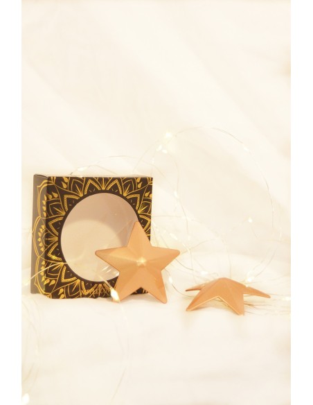 Nipple Gold metal Star nipple cover - 201600107