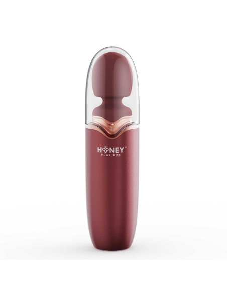 Stormi powerful wand massager with charging case
