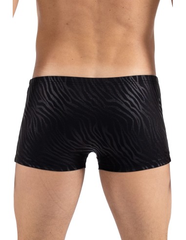 Boxer noir  gold Zebra - LM2403-67BLK