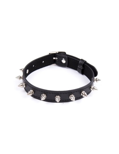 Adjustable collar with metal rivets - 262402081