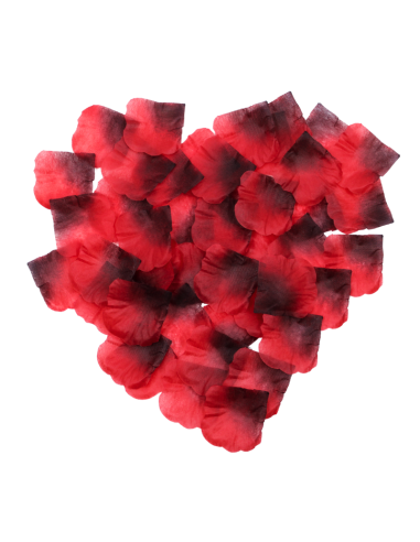 Pack de 100 Pétales de Rose - 100610RED