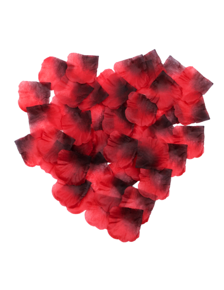 Pack de 100 Pétales de Rose - 100610RED