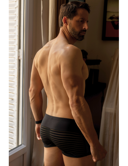 Calzoncillos a rayas negras opacas y transparentes - LM2906-67BLK