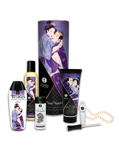 Shunga Carnal Pleasures Kit