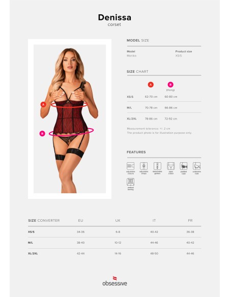 Denissa Corset and thong