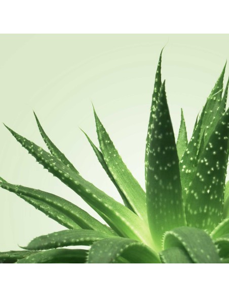 Gel de Masaje Mixgliss - NU Aloe Vera - 150 ml